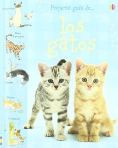 Pequeña-guia-gatos-9781409515852