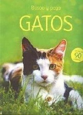 BUSCA-PEGA-GATOS-9781409516309