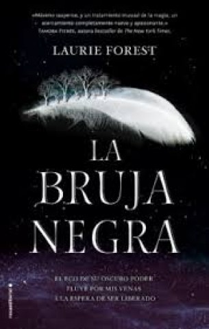 La-Bruja-negra-9788417305772