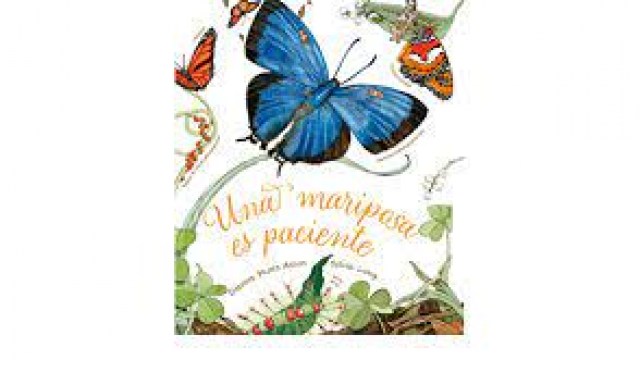 Una-mariposas-paciente-9788418900464