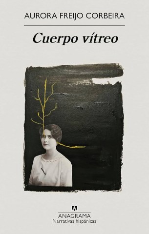 Cuerpo-vitreo-9788433905154