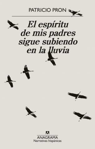 Elspiritu-mis-padres-sigue-subiendon-lluvia-9788433926371