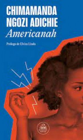 Americanah-9788439741015