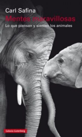 Mentes-maravillosas-9788481095746