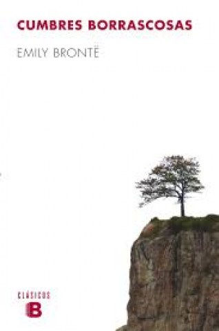 CUMBRES-BORRASCOSAS-9788490702413