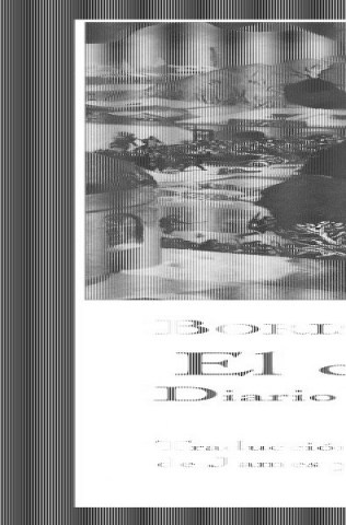 CABALLO-AMARILLO,L-DIARIO-TERRO-9788493711085