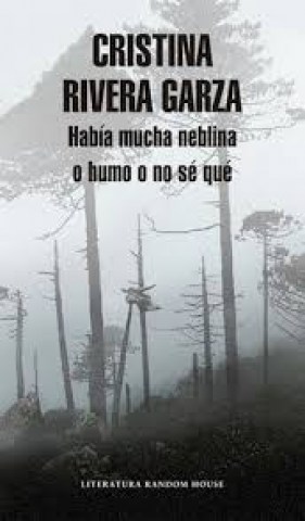 Habia-mucha-neblina-o-humo-o-no-se-que-9789873987687