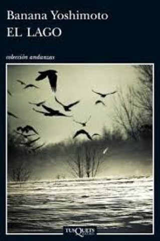 El-Lago-9789876701990