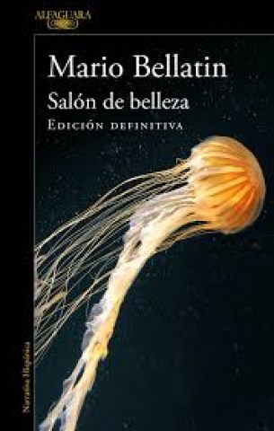salon-belleza-9789877383683