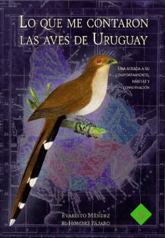 Lo-que-metarons-avesl-Uruguay-9789915438740