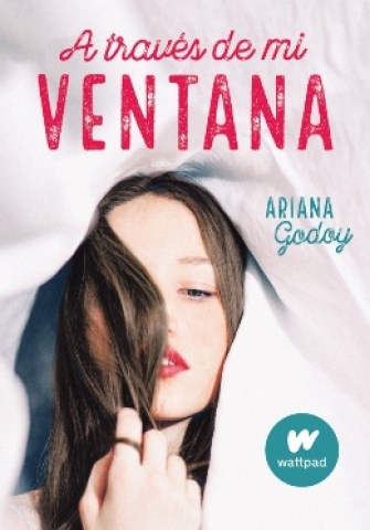 A-traves-mi-ventana-9789915659329