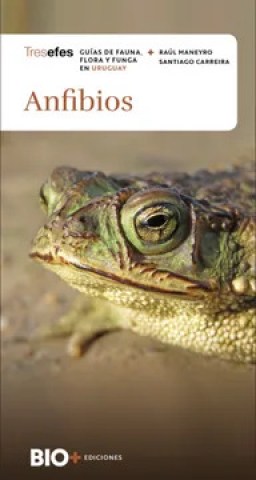 Anfibios-9789915982410